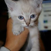 Carole Guilbeault's photo