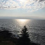 Betsy Miller's photo