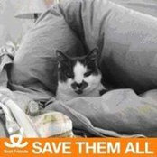 Stefani Sherwin's photo