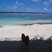 Gregory Roney's photo