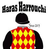 Foto von Haras Harrouchi