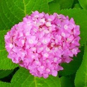 Aimee Doherty's photo