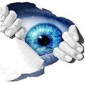 Paul Fuller's photo