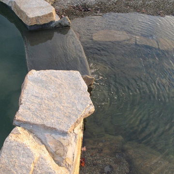 Natural Pool with separate regeneration area