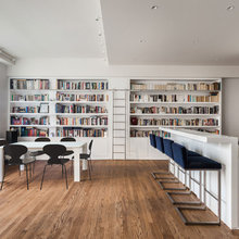Library Ladder