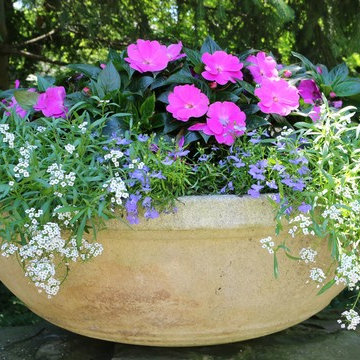 Seasonal Display