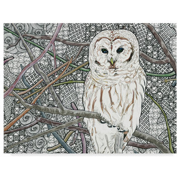 Amy Frank 'Barred Owl White' Canvas Art