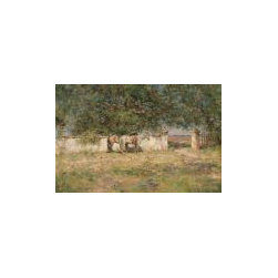Big Tree Canvas Prints - Artwork