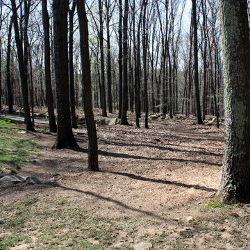 Spirits of the Woods\Woodland Walk Start