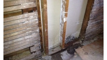 Recent Mold Inspection in Chicago