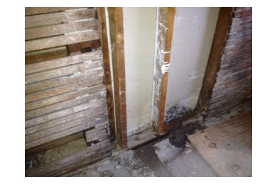 Recent Mold Inspection in Chicago