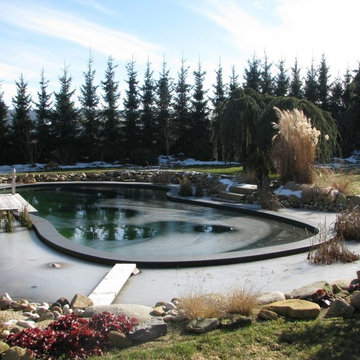 Aqua-Diamante-Pool Eichler Gartenideen