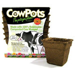 CowPots - CowPots #4 Square Pot - 90 pots - CowPots are 100% biodegradable transplanting pots made with natural cow manure. They are odor and rapidly break down after being transplanted into soil. Preferred for seed starting of early planting annuals and vegetables. For seedlings needing more days in the greenhouse before transplanting such as eggplant, peppers and tomatoes. Also great for step up transplants to larger planting containers or direct transplants to ground post frost. Commercially proven in step up to soilless bag cultures. Features