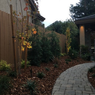 Hardscaping and Landscapes