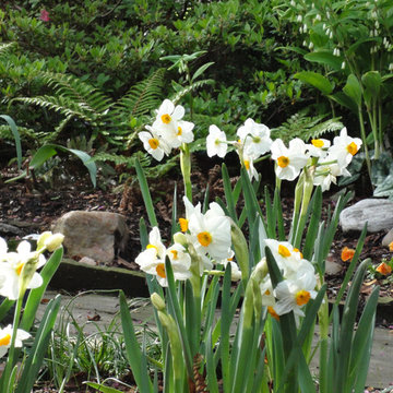 Plant Combinations