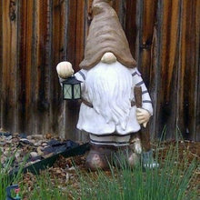 Gnomes
