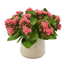 Flowered