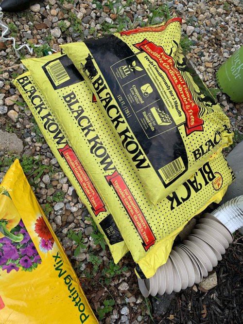 fertilizer using black cow manure