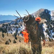 Brandon Tuft's photo