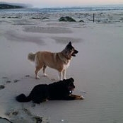 Ashley Hovde's photo
