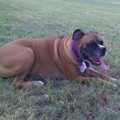 Andrew Meek's photo