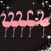 Frances Fortier's photo