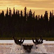 Aaron Cheirrett's photo