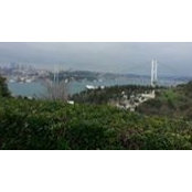Carolina Arman's photo