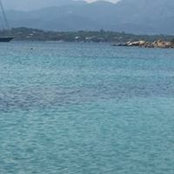 Alessandro Brucoli's photo