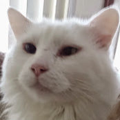 Marla Fyfe's photo