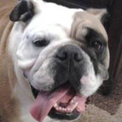 Bonnie Rickaway's photo
