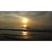 Mary Ann Perez's photo