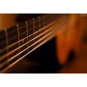 Wade Martin's photo
