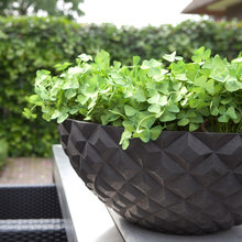 Landscape ideas
