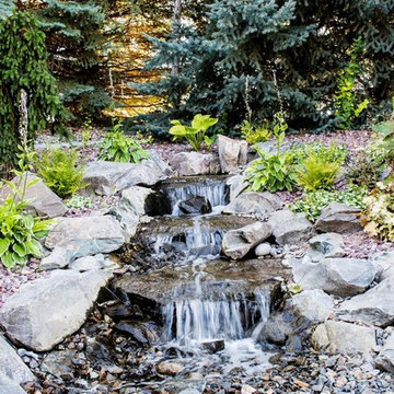 Gardens and Water Features