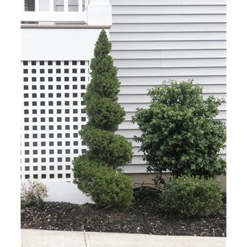Elite Property projects and workmanship