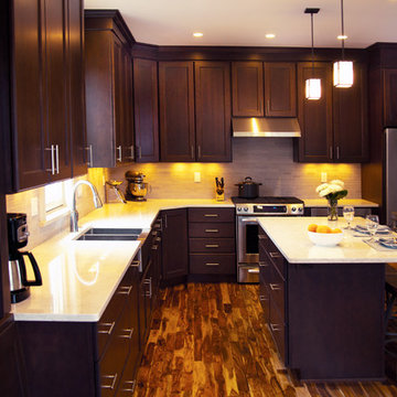 Expanded Dream Kitchen