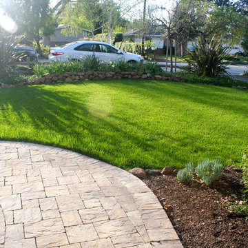 Our Work
