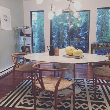 Dining Chairs