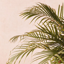 Residential Wallpaper | Vintage Boutique Collection - Wallpaper