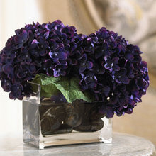 katie_mabrey's Ideas