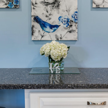 Transitional Kitchen Remodel in a Snow White Classic Square raised Door
