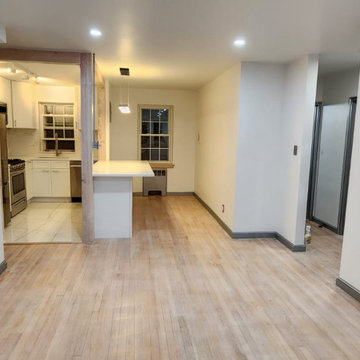 Whole Condo Remodel In Progress