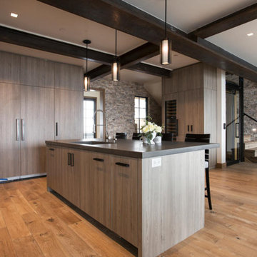 Ski In Ski Out Contemporary home