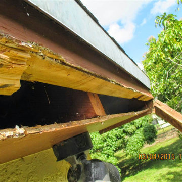 Shingle & Flat Roof Restoration Process