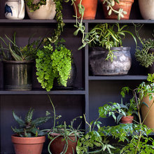 The Flowers and Indoor Greenery