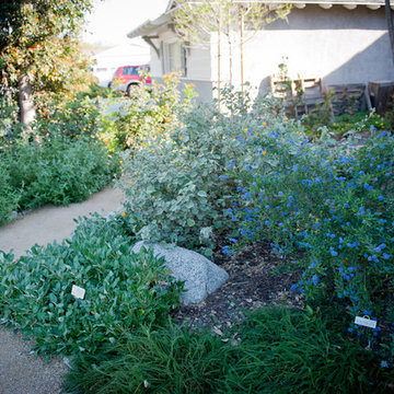 Blooming Trail