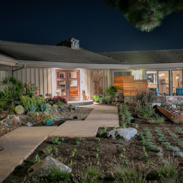 Tropical Artistry Oasis