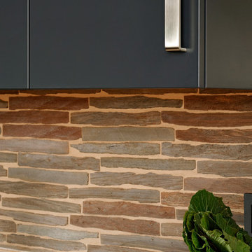 Silver Spring, Maryland - Contemporary - Kitchen