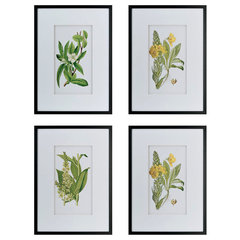 Botanical Study Leaf Berry Flower Wall Art Gold Frame Set Of 6 ~ Uttermost  33651